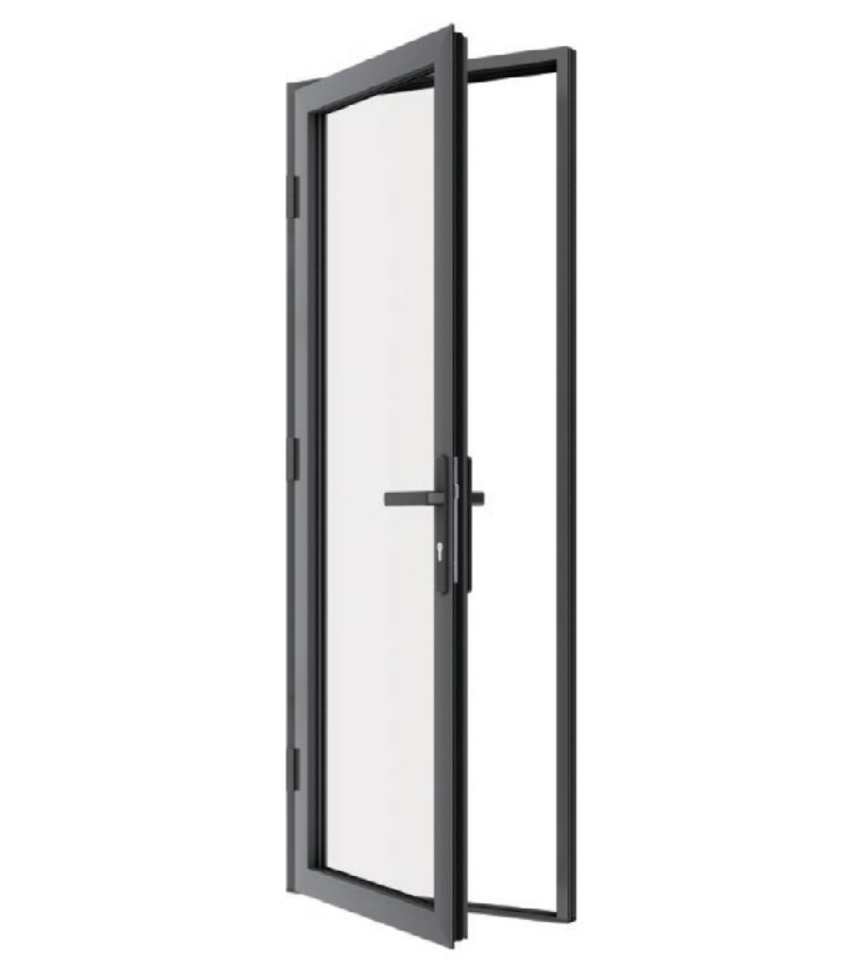 VLX 100 Swing / Entry Door in Miami Gardens, FL | TruePane Windows & Doors - detail 2