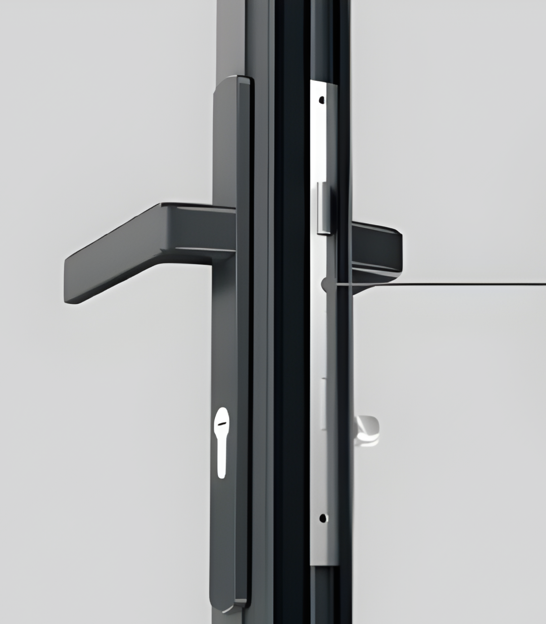 VLX 100 Swing / Entry Door in Miami Gardens, FL | TruePane Windows & Doors - detail 5